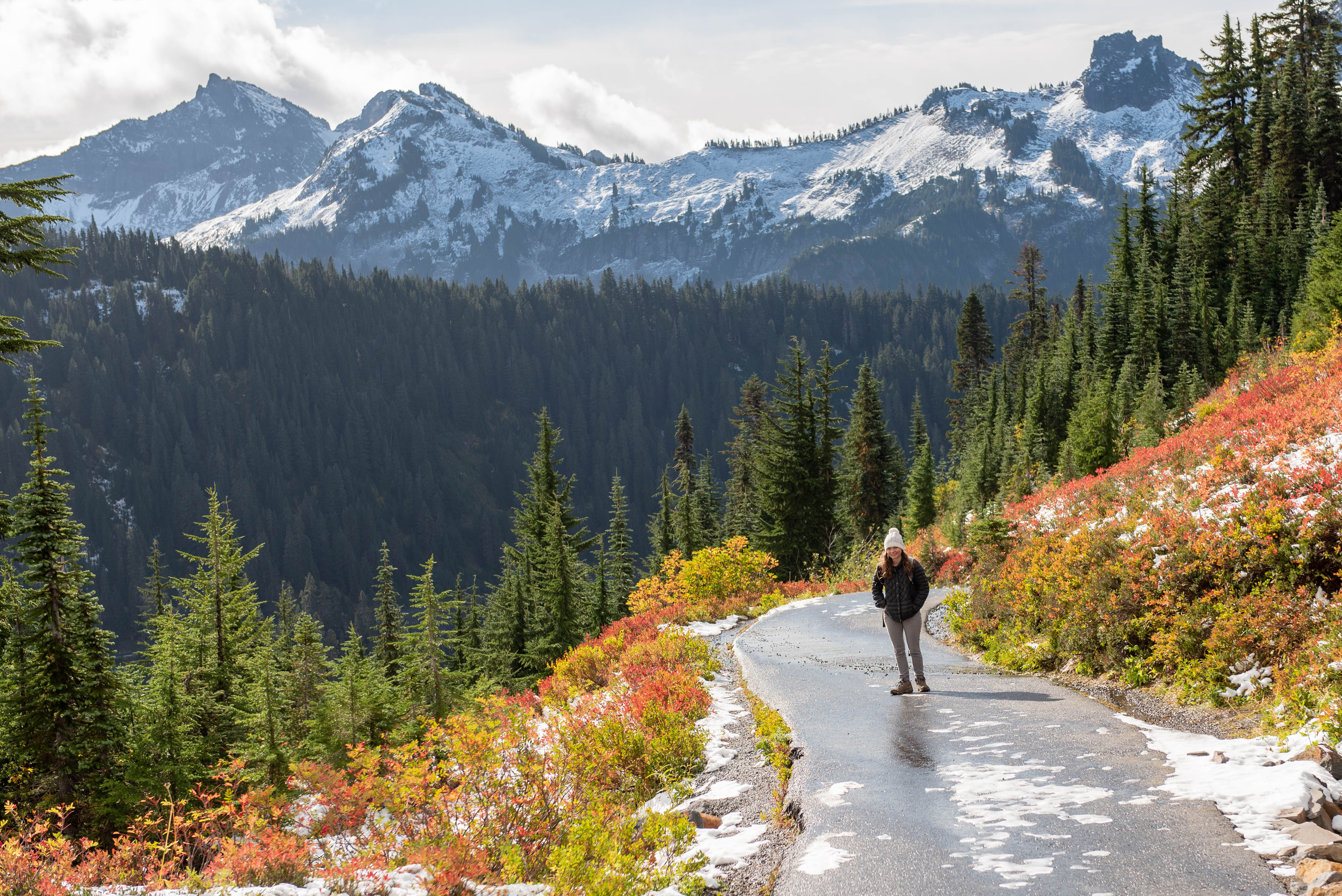 Best Moderate Hikes Mt Rainier