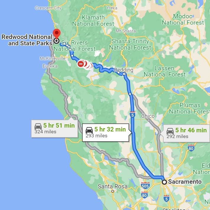 Redwood National Park Road Trip- One Day Itinerary - Voyages With Val